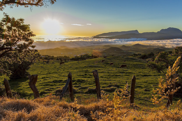 Vivre La Réunion autrement Vivre La Réunion autrement