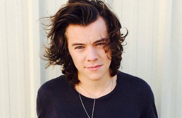 En plein concert Harry styles fait une surprise à une fan En plein concert Harry styles fait une surprise à une fan