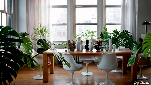 Une déco ÉCOLO ! Une déco ÉCOLO !