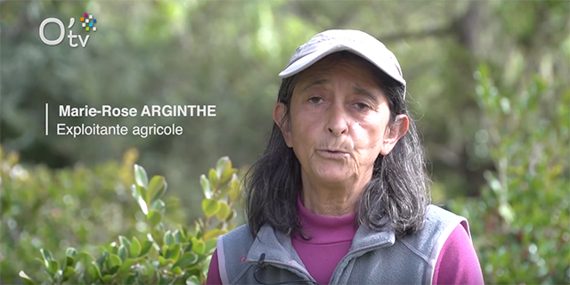 La bonne idée Fête des Mères de Mme Arginthe ! La bonne idée Fête des Mères de Mme Arginthe !