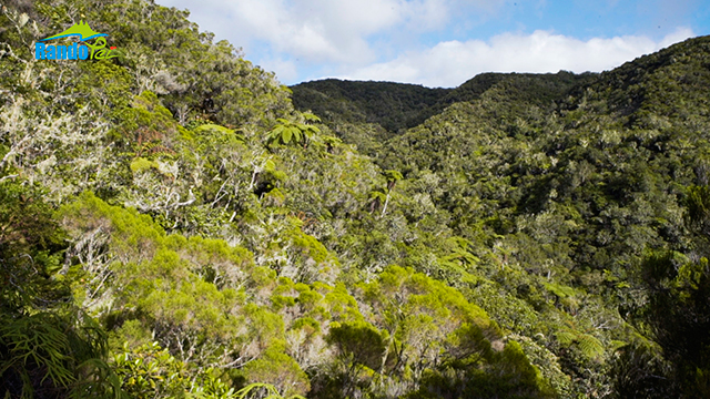 Bivouac à LA ROCHE ECRITE : 1ère partie Bivouac à LA ROCHE ECRITE : 1ère partie