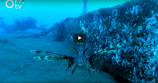 NRL l'incroyable défi : les Sentinelles de la mer NRL l'incroyable défi : les Sentinelles de la mer