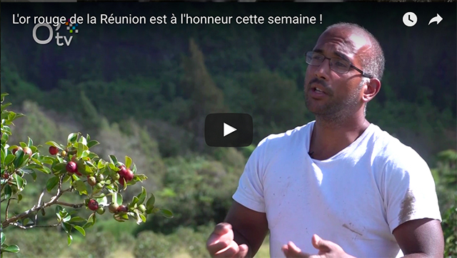 L'or rouge de la Réunion est à l'honneur cette semaine ! L'or rouge de la Réunion est à l'honneur cette semaine !