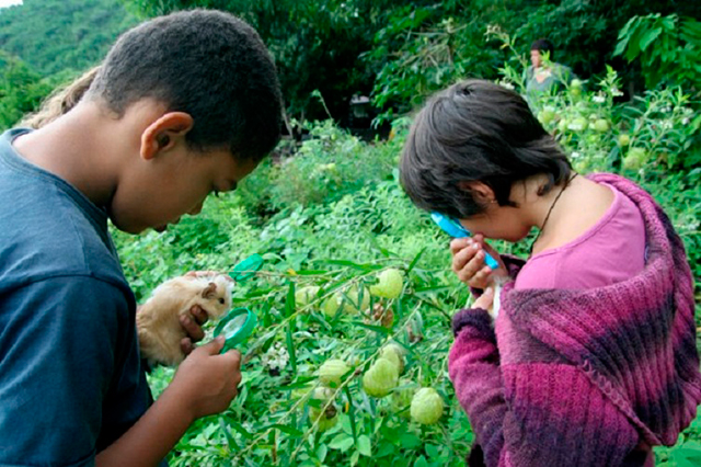 VACANCES : ACTIVITES EN PLEINE NATURE POUR VOS MINI-VOUS…