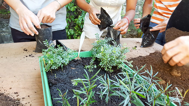 L’ÉCOLE DU JARDIN PLANÉTAIRE NE PREND PAS DE VACANCES