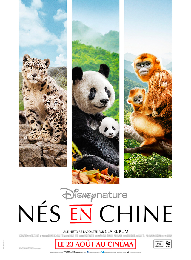 50 places à gagner chaque semaine avec le réseau Mauréfilms 50 places à gagner chaque semaine avec le réseau Mauréfilms