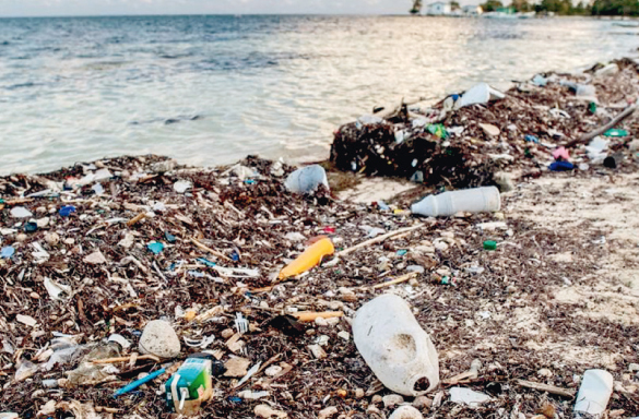 Réduisons nos déchets organiques