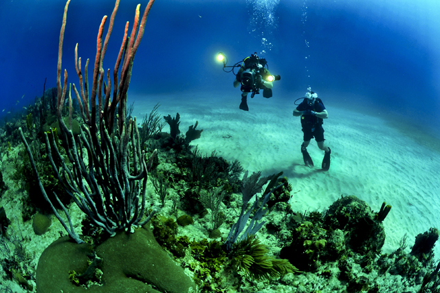 Comme un poisson dans l’eau