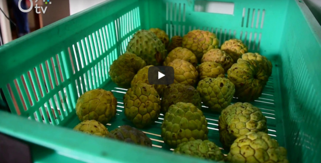 Le Vélo Vert : de la ferme agricole à l'assiette