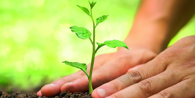 Réduire son empreinte écologique : des gestes simples qui comptent