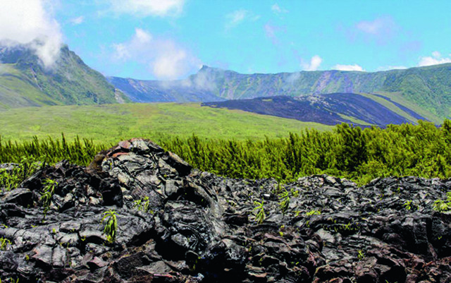 Le Département soigne le Volcan