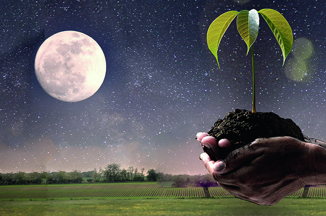 Jardiner avec la lune ! Jardiner avec la lune !