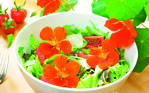 Une cuisine colorée avec les fleurs comestibles !