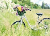 Le vélo gagne du terrain