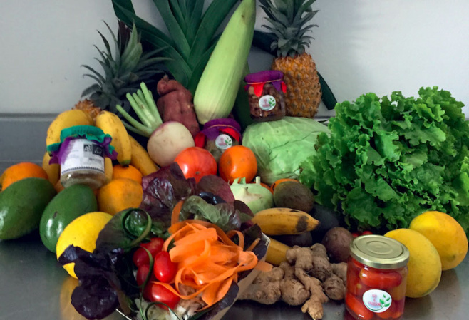 La toute première filière de transformation et conditionnement de fruits et légumes biologiques à La Réunion