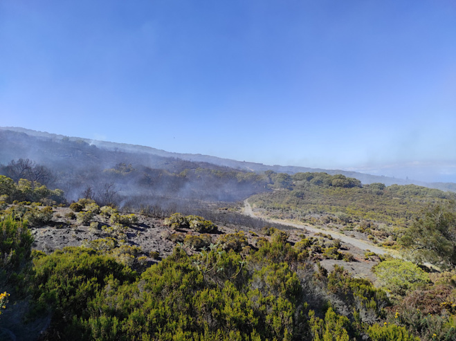 Incendie du Maïdo est accidentel. Le suspect mis en examen