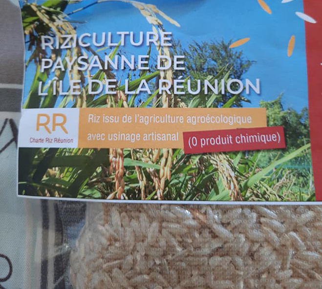 Emergence du riz péi