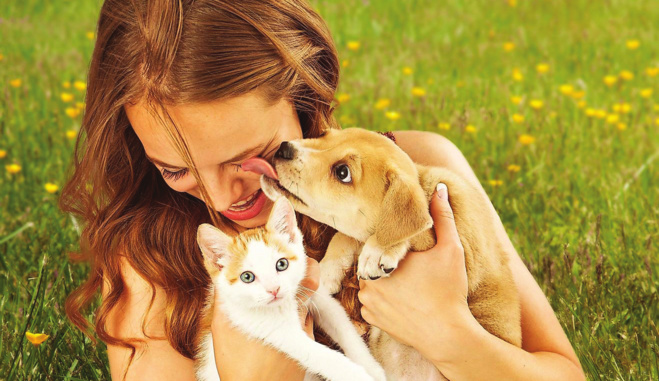 Le syndrome de Noé ou les collectionneurs d’animaux