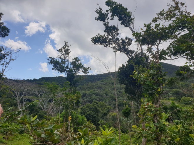 Exploration de l'île Maurice, vers un parcours du tourisme durable