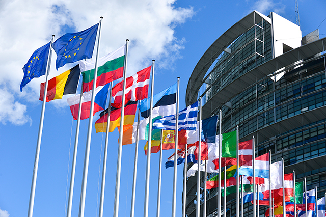 LES ÎLES EN FORCE AU PARLEMENT POUR UNE EUROPE PLUS VERTE