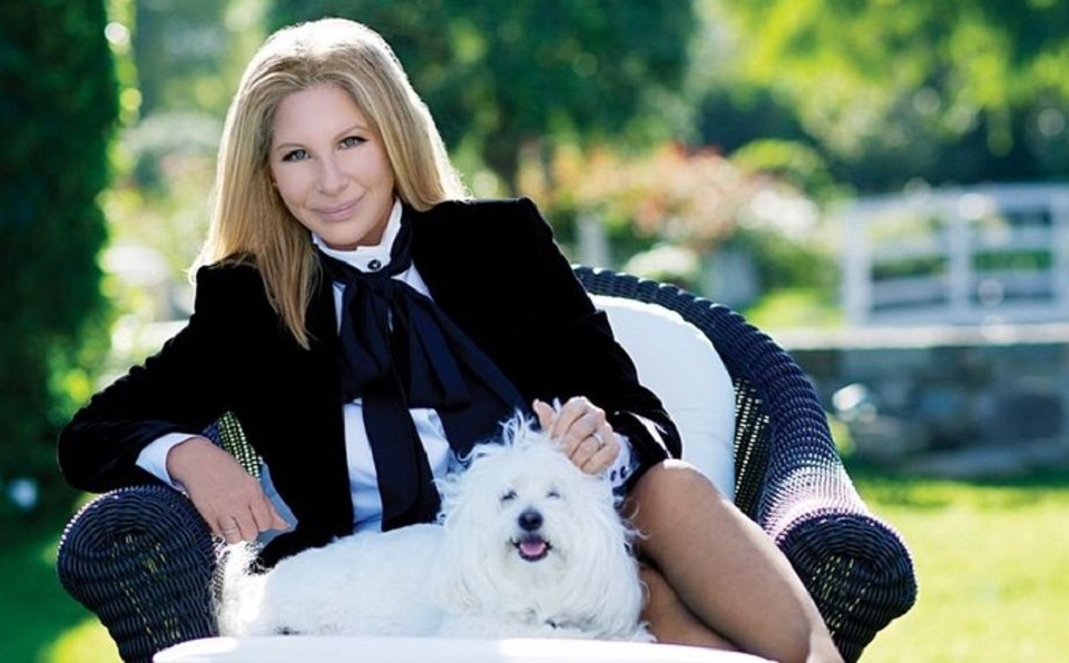 Barbra Streisand a cloné deux fois sa chienne morte