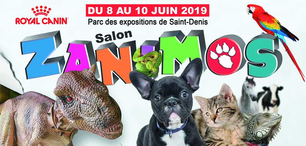 Salon Zanimos 2019