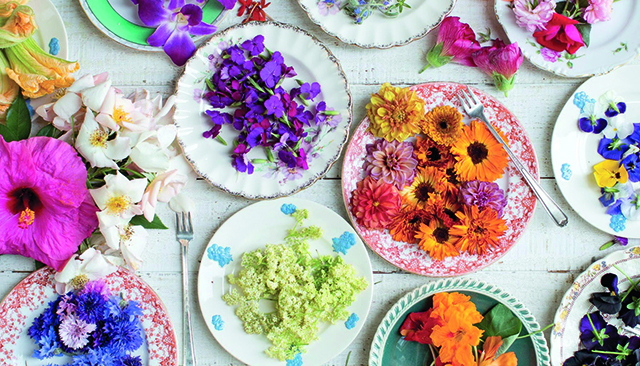 Une cuisine colorée avec les fleurs comestibles !