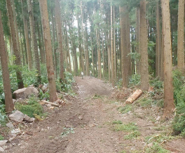 Un meilleur accès à la forêt de Cilaos