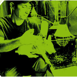 Les 5 filières de la production locale réunie Produire l’avenir, c’est construire La Réunion de demain !