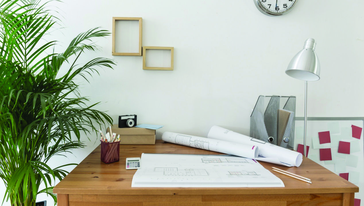 Des plantes pour réduire l’absentéisme au bureau