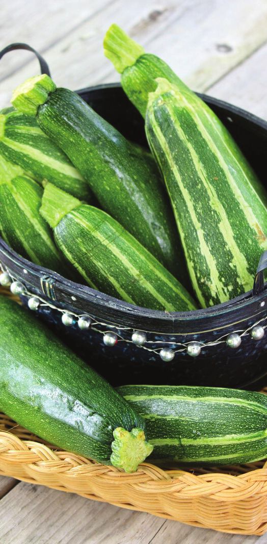 L’art de cuisiner la courgette