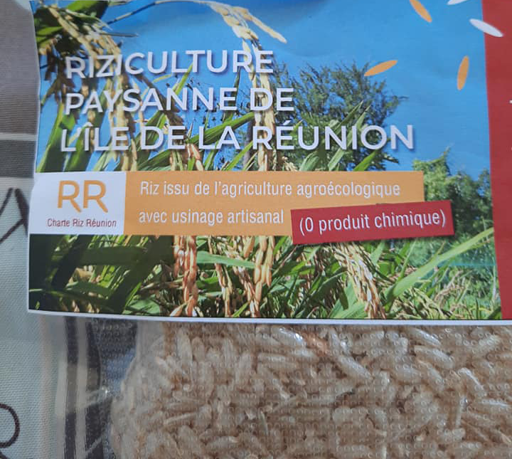 Emergence du riz péi