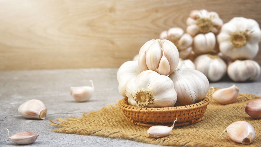 L’agenda du mois d’octobre.