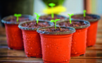Un guide pour horticulteurs