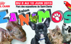 Salon Zanimos 2019