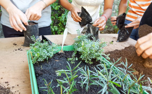 L’ÉCOLE DU JARDIN PLANÉTAIRE NE PREND PAS DE VACANCES