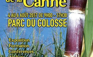 Fête de la canne