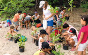 Ateliers de plantation sur les plages de pontes de tortues marines