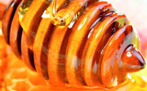 Apithérapie : Et si le remède venait des abeilles ?