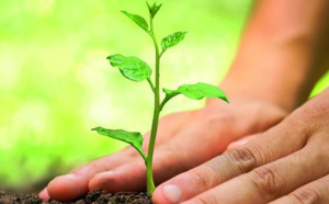 Réduire son empreinte écologique : des gestes simples qui comptent