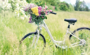 Le vélo gagne du terrain