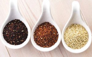 Le quinoa dans tous ses états