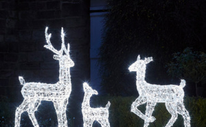 7 idées de déco lumineuses pour les fêtes