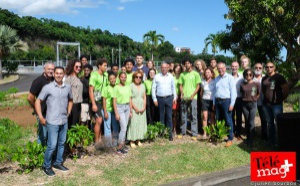 Le Plan 1 million d’arbres : 5000 plants au cœur des sites de la SAPHIR
