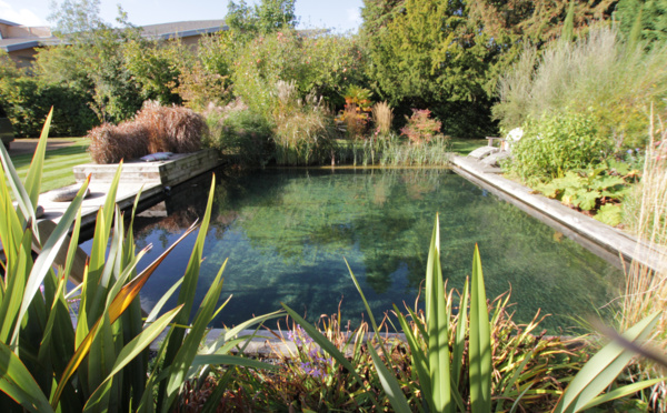Ces piscine tendances pour 2023 vont vous faire envie !
