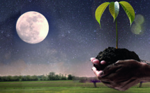 Jardiner avec la lune !
