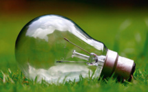Les priorités du Conseil de défense écologique