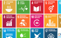 SEMAINE EUROPÉENNE DU DÉVELOPPEMENT DURABLE (SEDD)