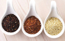 Le quinoa dans tous ses états