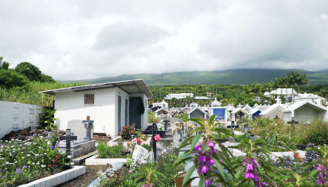 Rando Péi Sainte-Rose  - Télémagplus